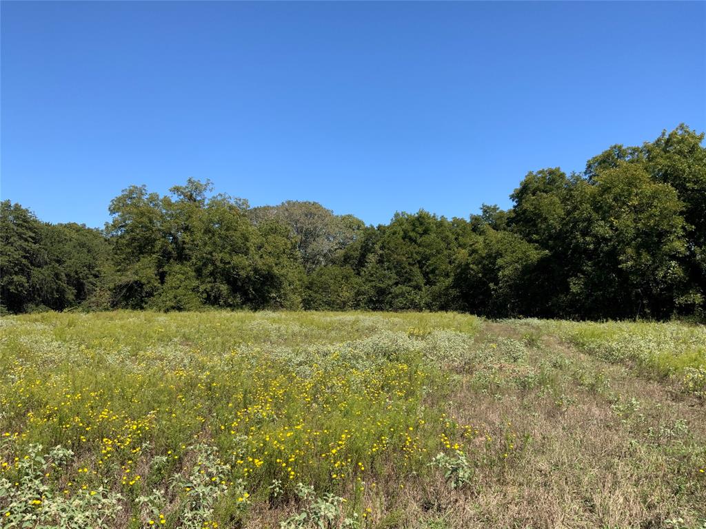 Tbd County Road 226 Property Photo 24