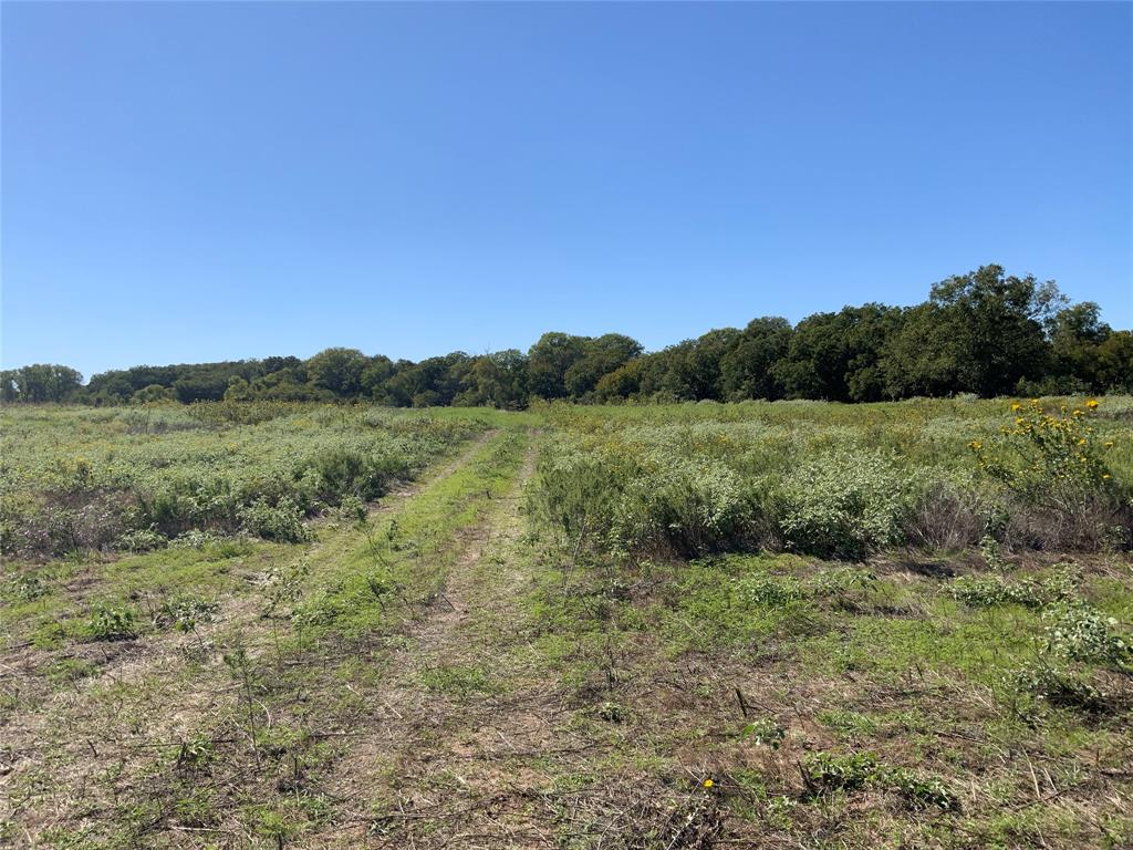 Tbd County Road 226 Property Photo 25