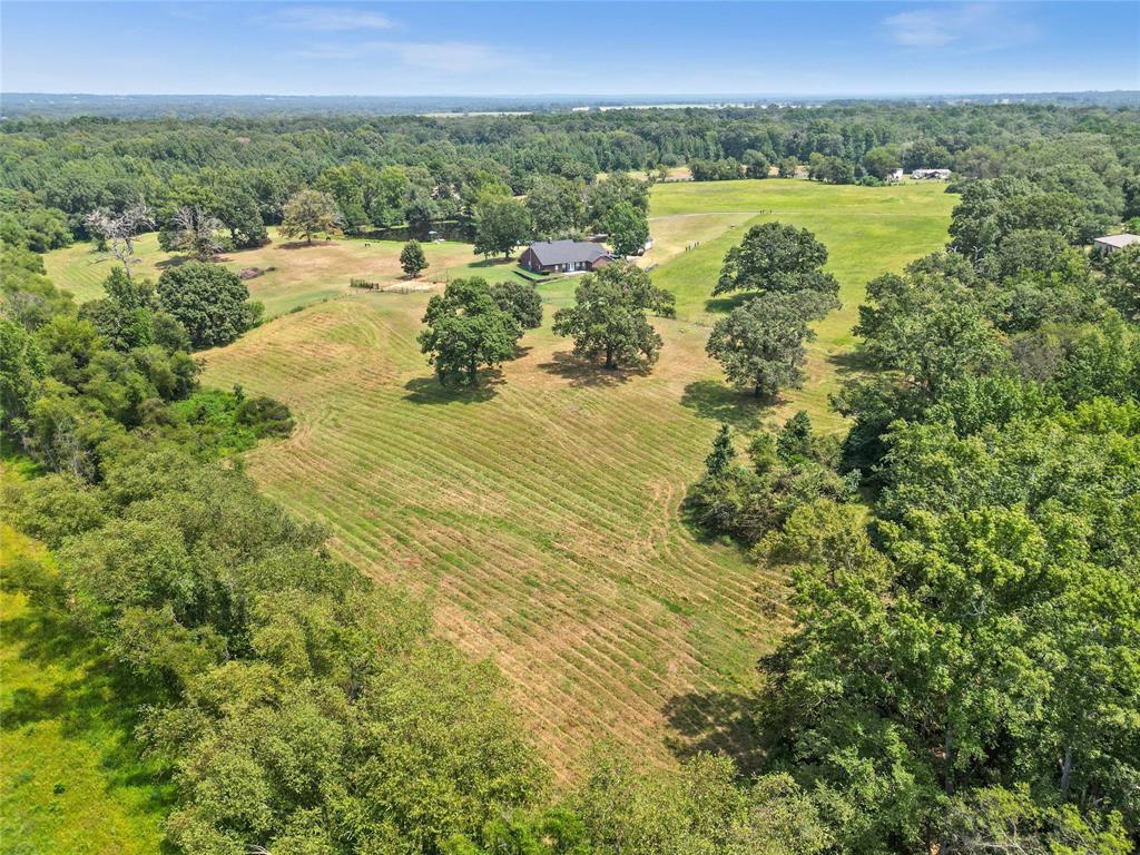 Tbd County Road 4119 Property Photo 3