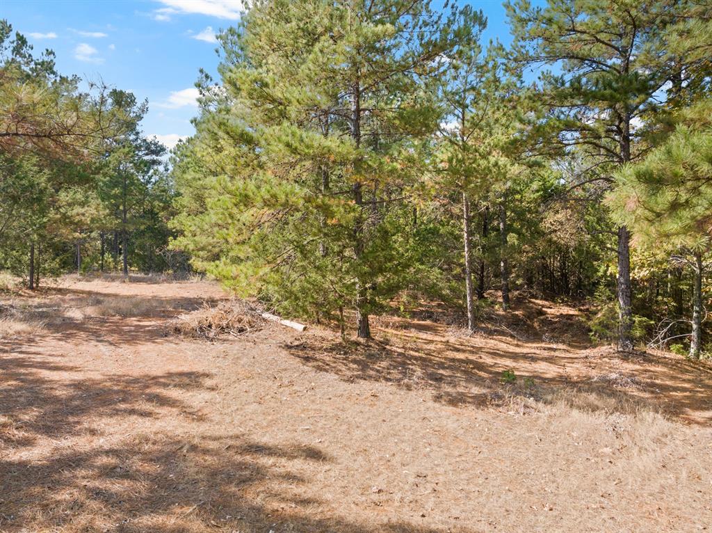 1515 Fm 250 Property Photo