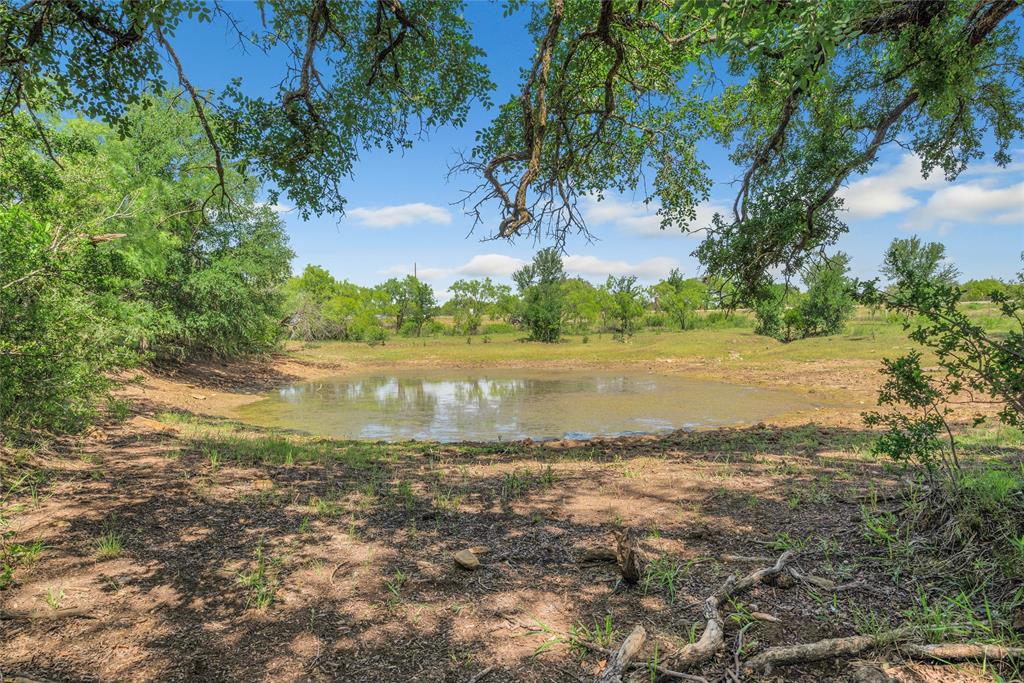 16101 Fm 500 Property Photo 5