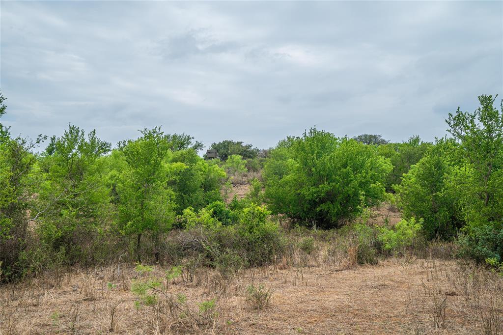 16101 Fm 500 Property Photo 22