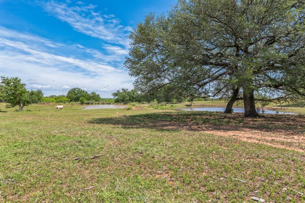 16101 Fm 500 Property Photo 29