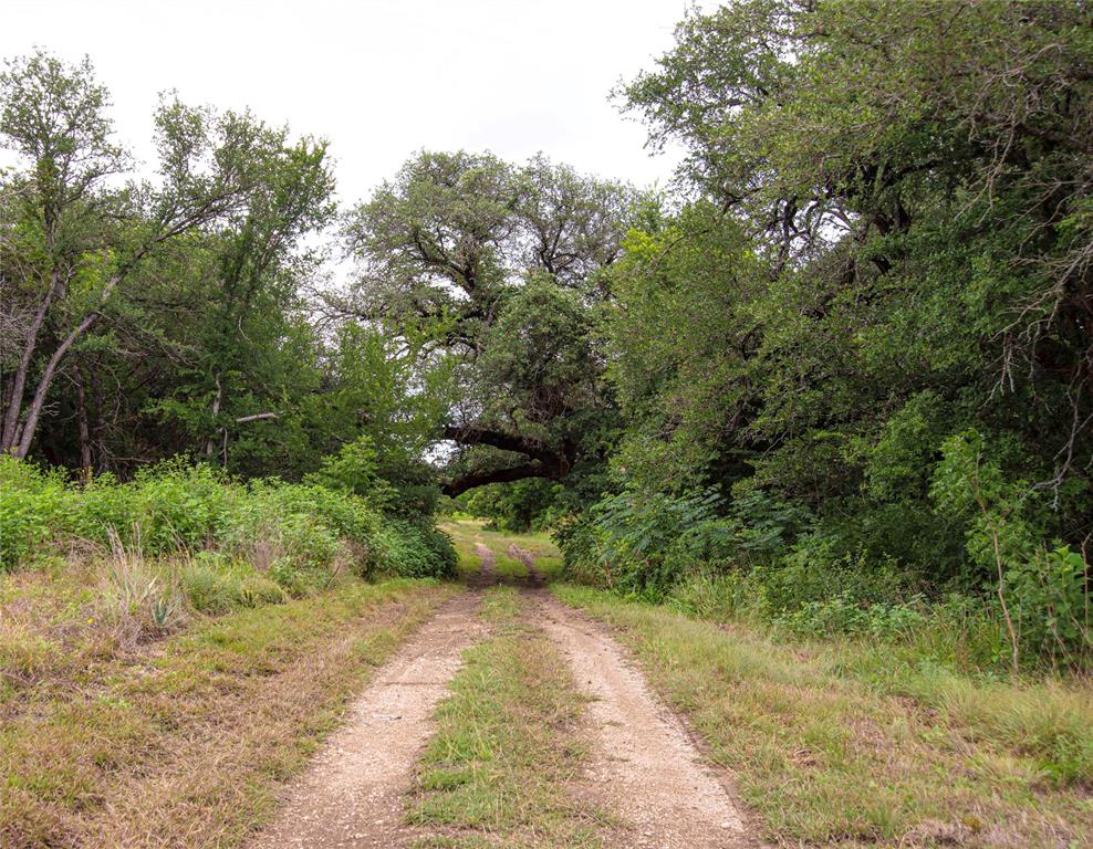 1468 County Road 4290 Property Photo 39