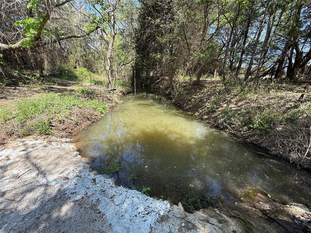 261 Catholic Cemetery Road Property Photo 4