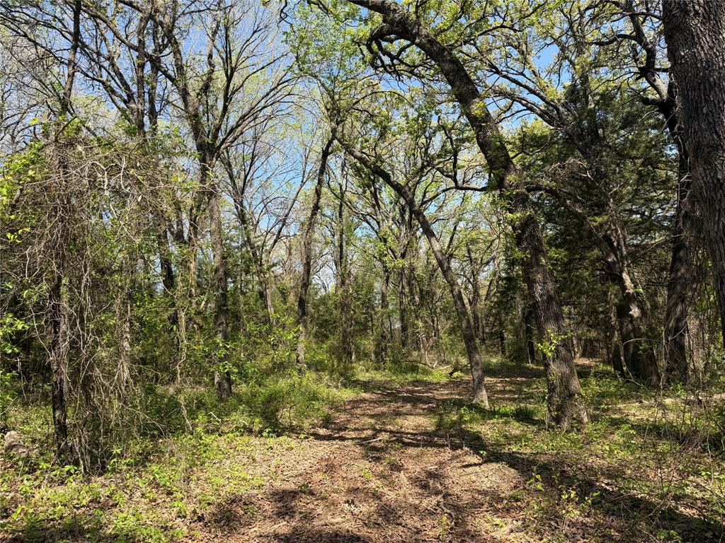 261 Catholic Cemetery Road Property Photo 8