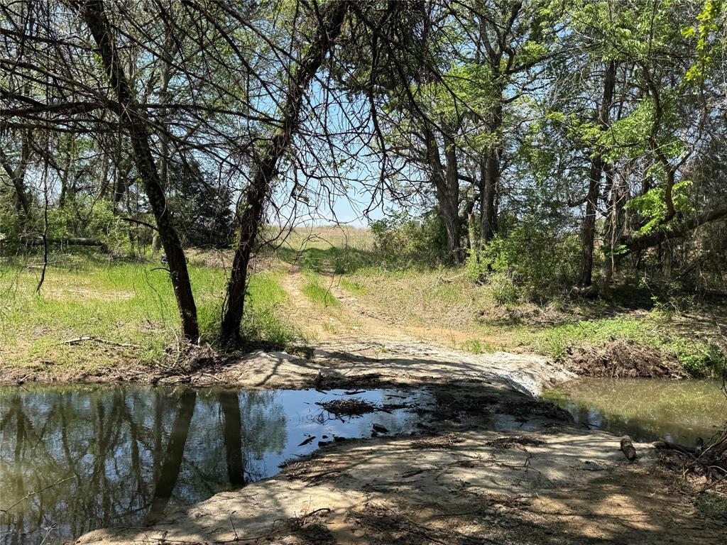 261 Catholic Cemetery Road Property Photo 9