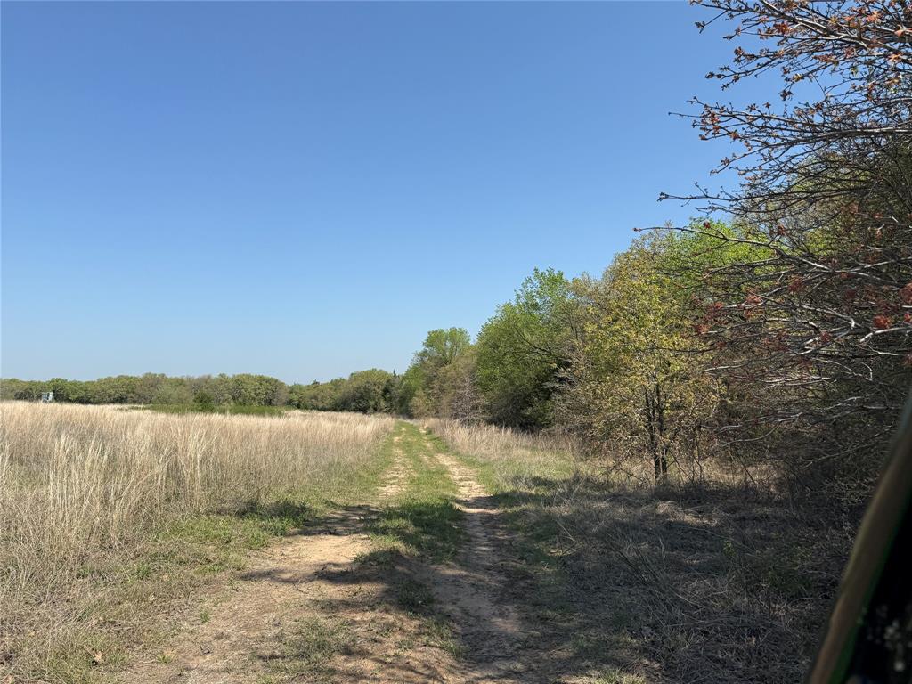 261 Catholic Cemetery Road Property Photo 12
