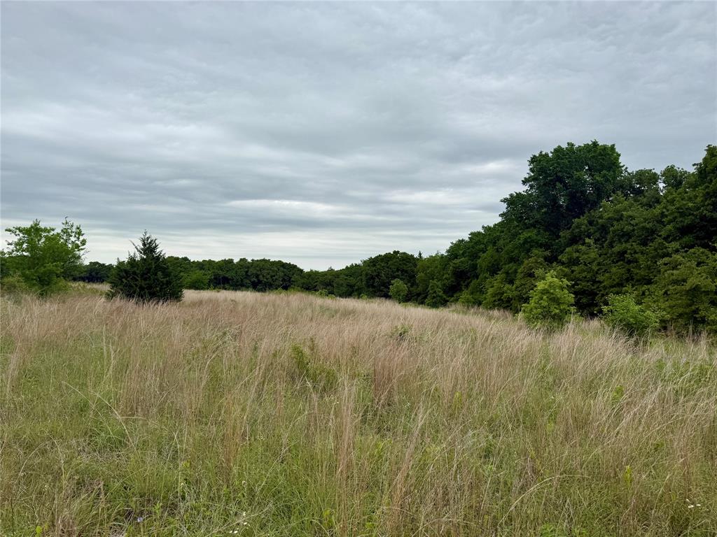 261 Catholic Cemetery Road Property Photo 14
