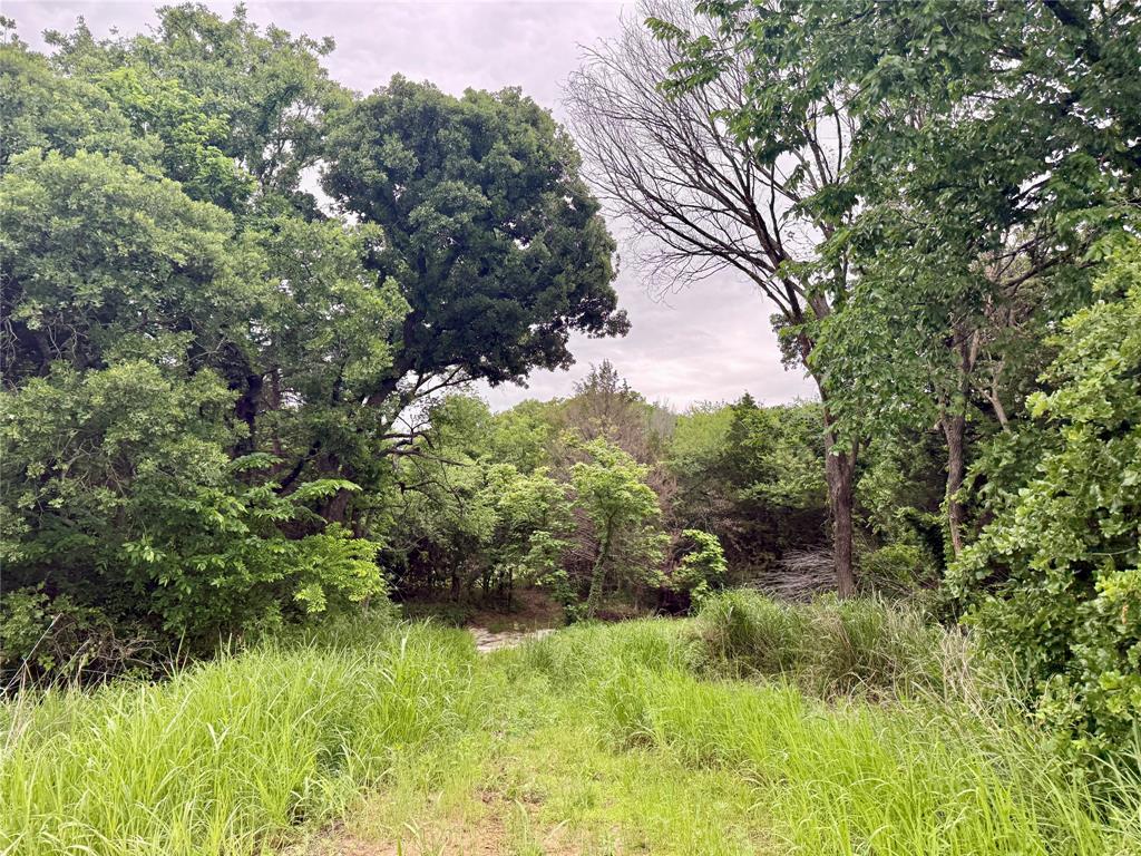 261 Catholic Cemetery Road Property Photo 17
