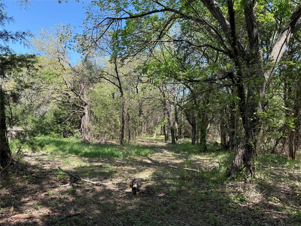 261 Catholic Cemetery Road Property Photo 19