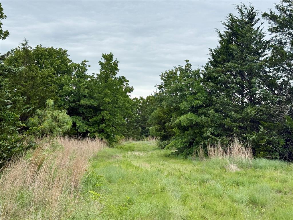 261 Catholic Cemetery Road Property Photo 21