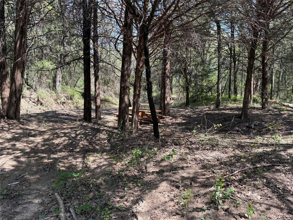 261 Catholic Cemetery Road Property Photo 25