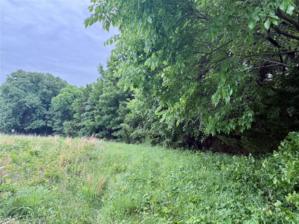 261 Catholic Cemetery Road Property Photo 27
