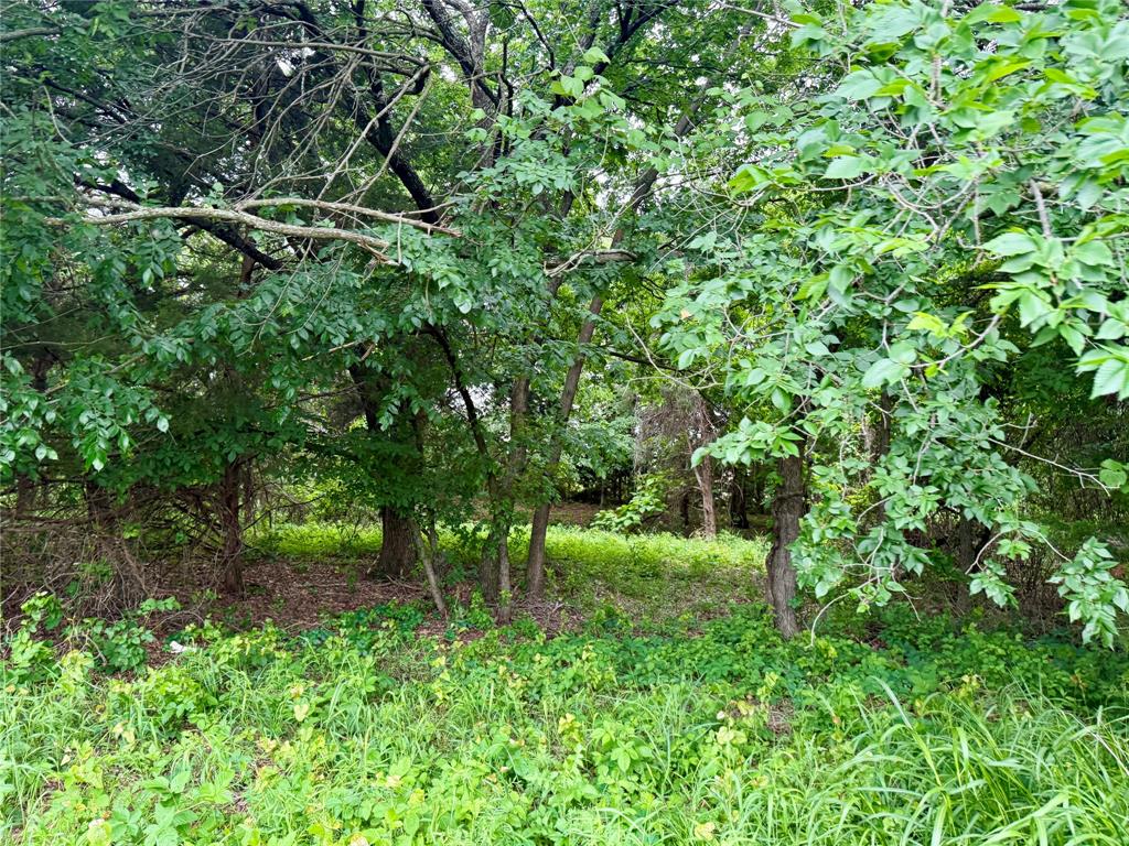 261 Catholic Cemetery Road Property Photo 28