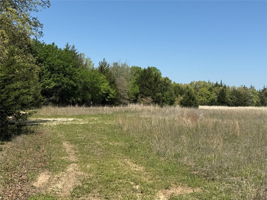 261 Catholic Cemetery Road Property Photo 30