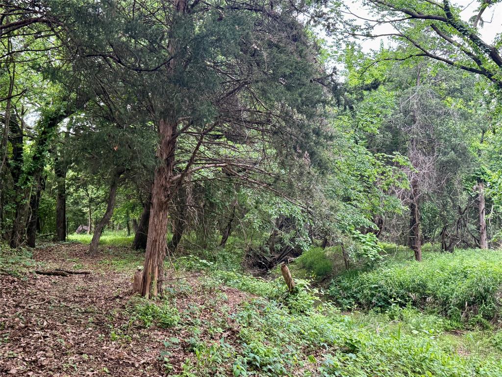 261 Catholic Cemetery Road Property Photo 31