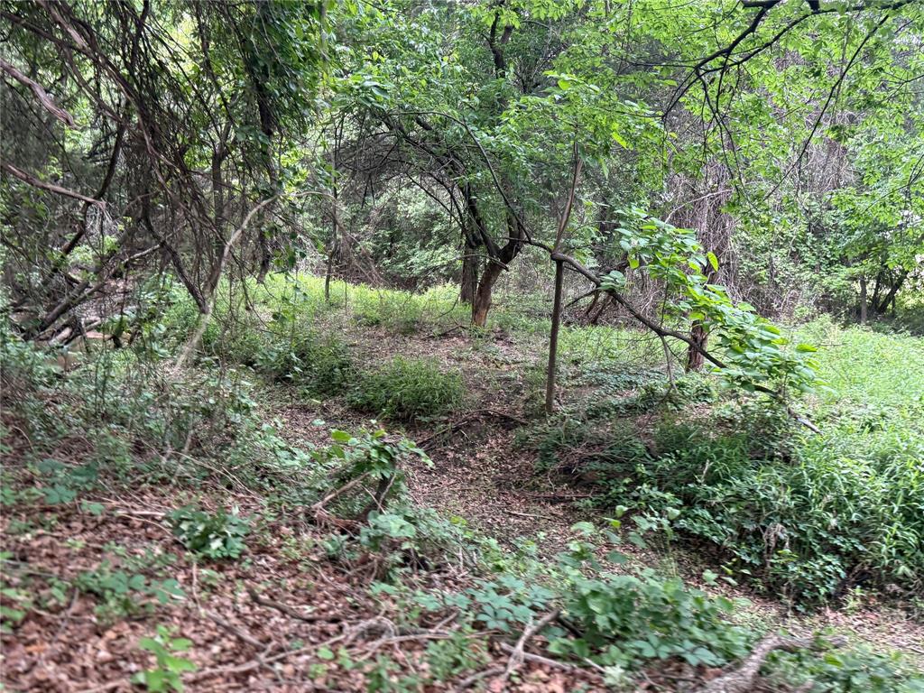 261 Catholic Cemetery Road Property Photo 32