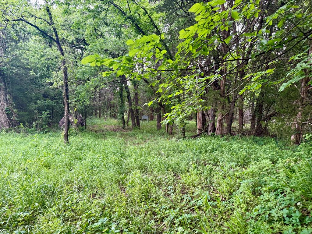 261 Catholic Cemetery Road Property Photo 33
