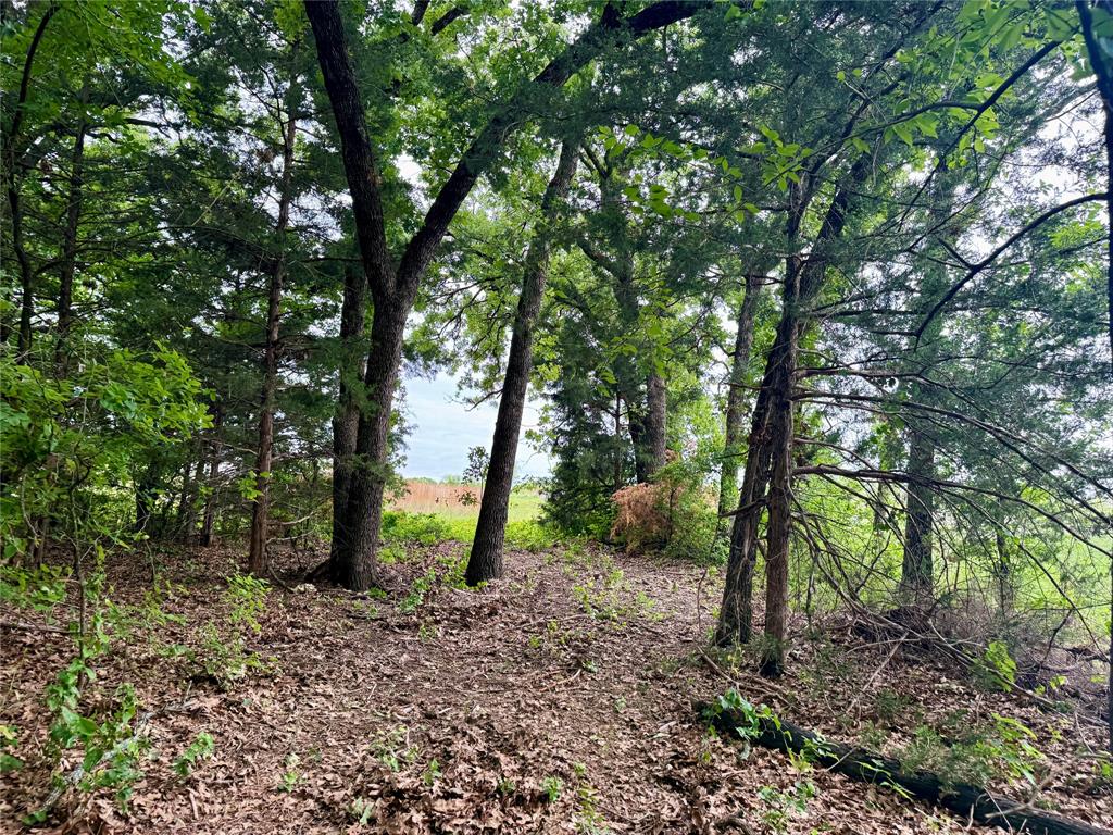 261 Catholic Cemetery Road Property Photo 35