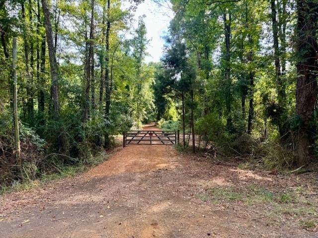 1317 N Main Property Photo