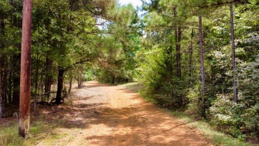 1317 N Main Property Photo 4