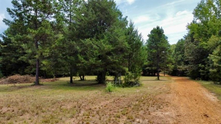 1317 N Main Property Photo 6