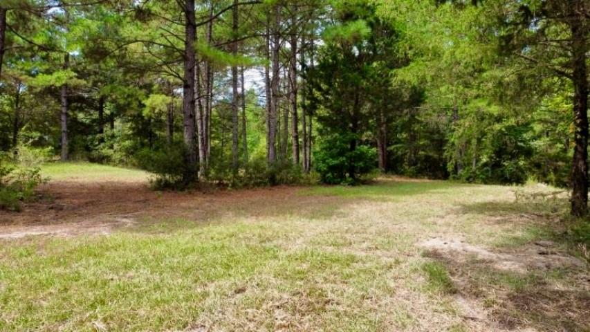 1317 N Main Property Photo 7