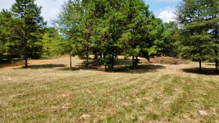 1317 N Main Property Photo 8
