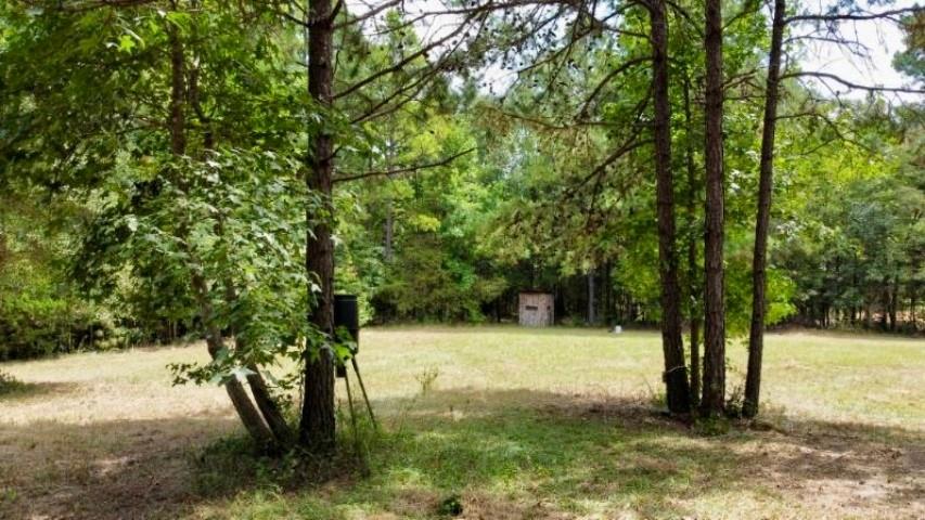 1317 N Main Property Photo 9