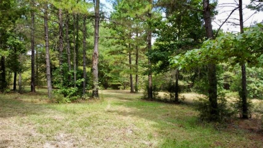 1317 N Main Property Photo 10