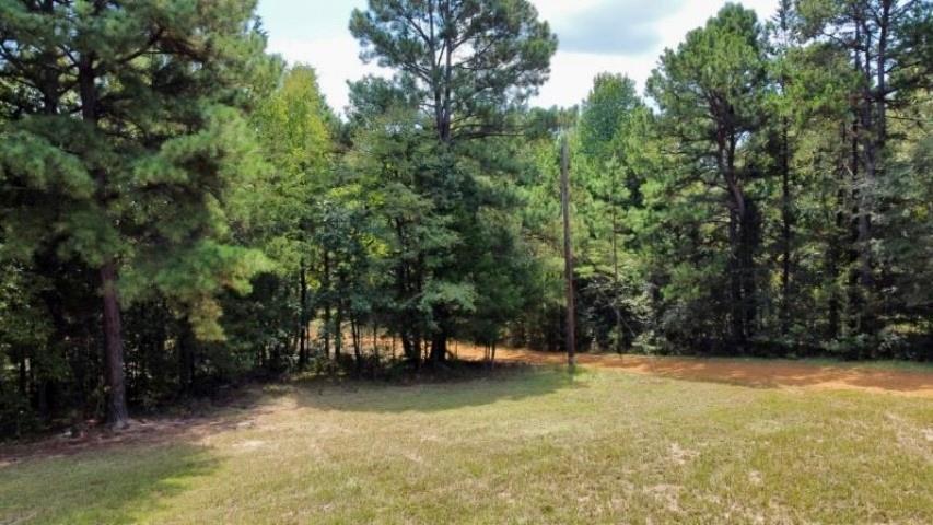 1317 N Main Property Photo 11