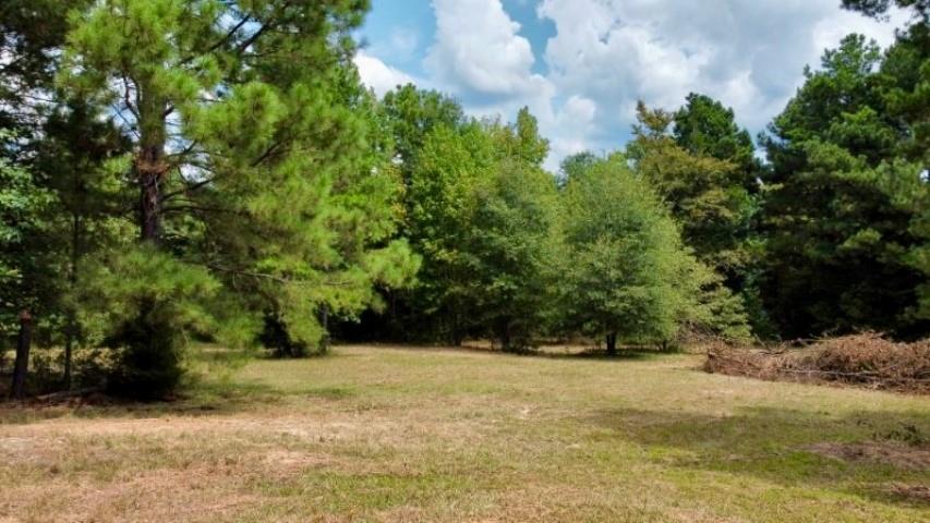1317 N Main Property Photo 12