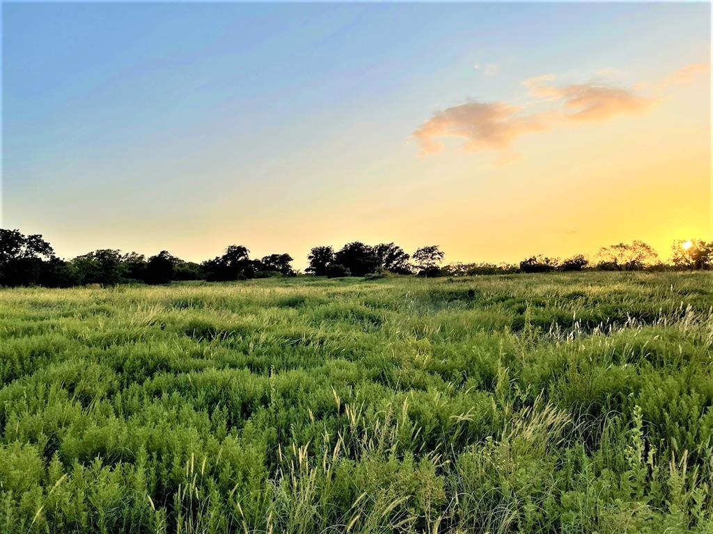1280 Us Highway 180 Property Photo 20