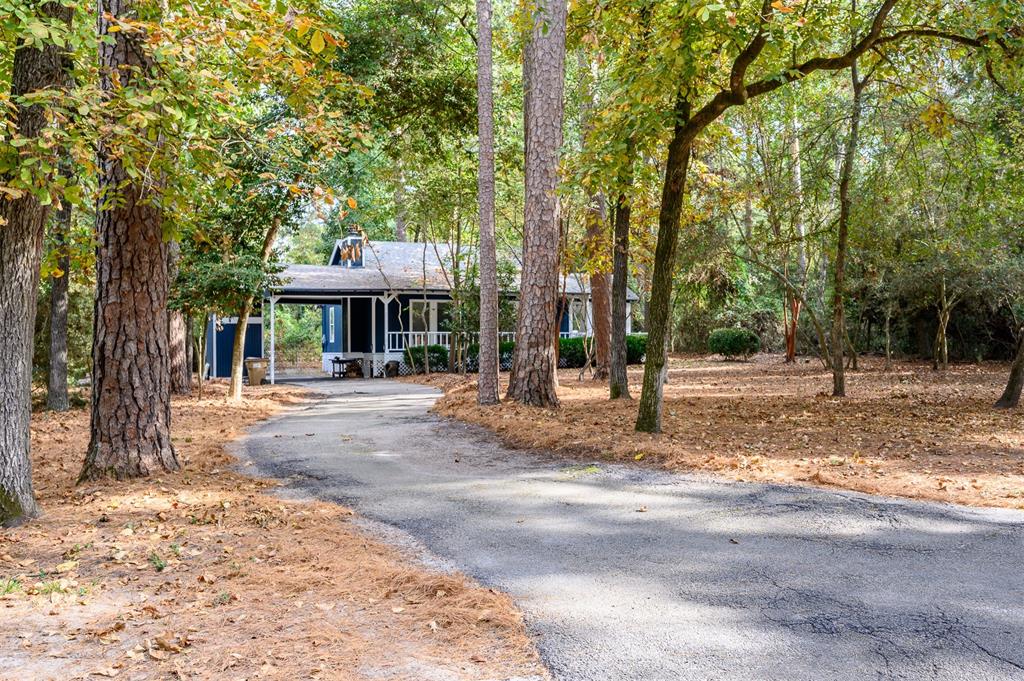 188 Candlelight Path Property Photo 12