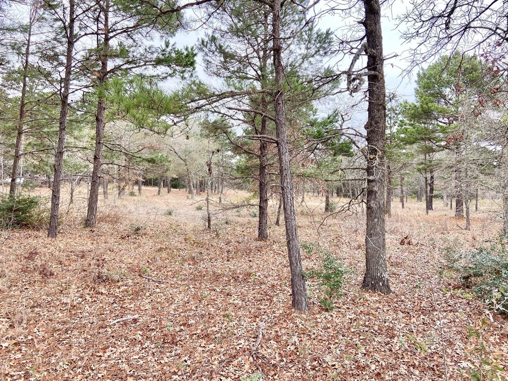 3729 Pinewood Way Property Photo 6