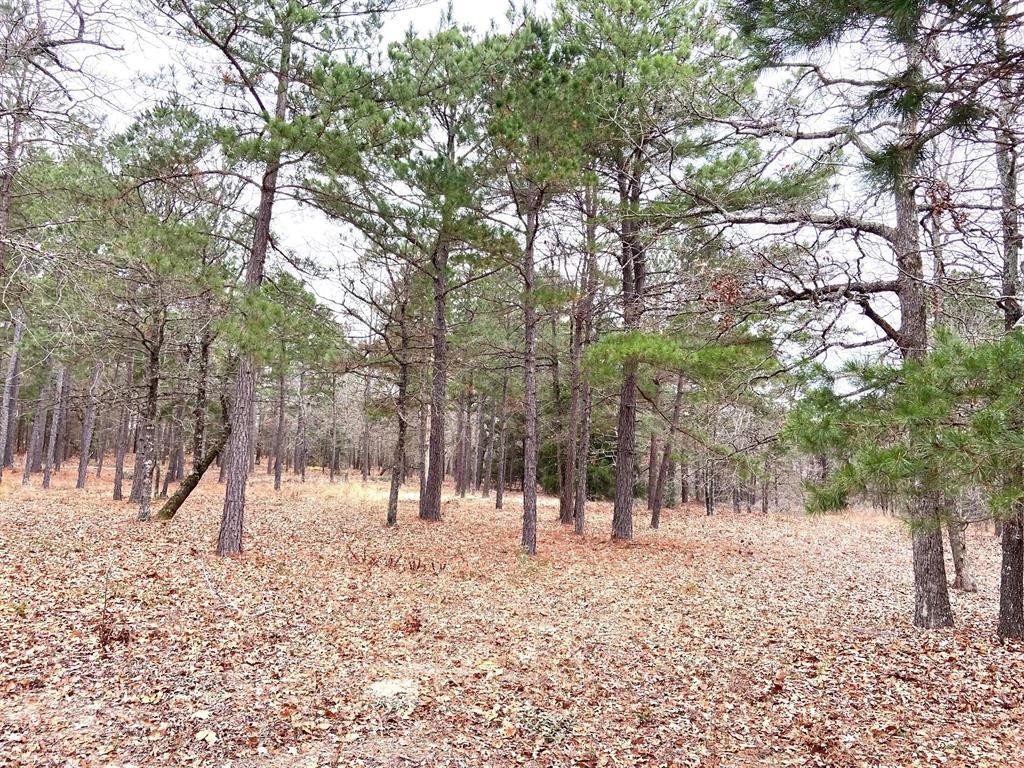 3729 Pinewood Way Property Photo 9