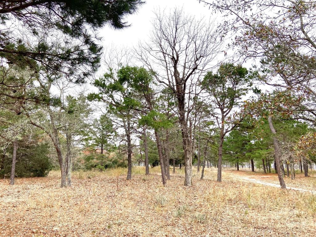 3729 Pinewood Way Property Photo 10