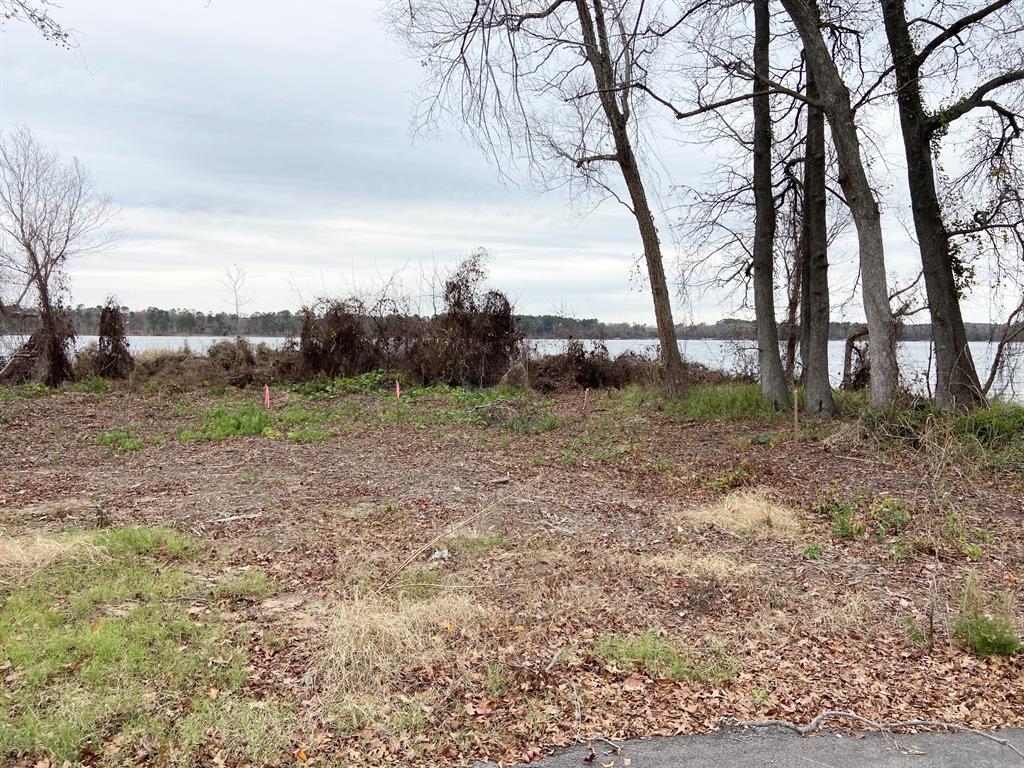 3729 Pinewood Way Property Photo 19