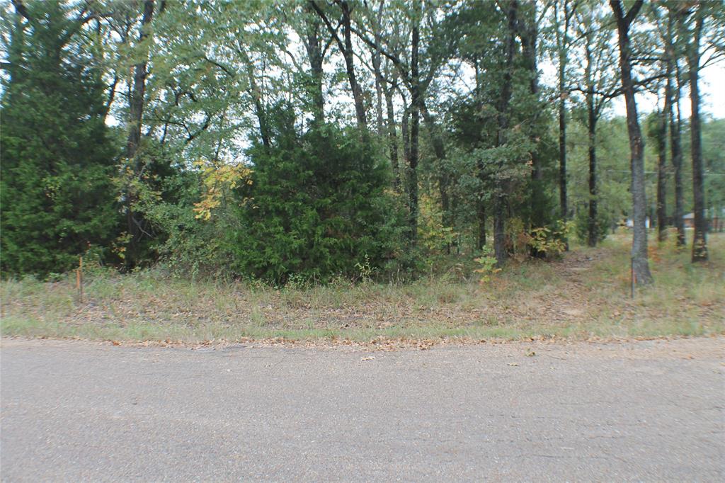 0 Inca Drive Property Photo