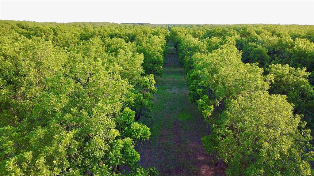 Tbd2 Fm-2318 Property Photo 1