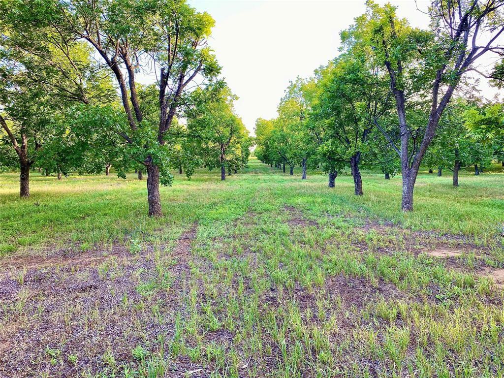Tbd2 Fm-2318 Property Photo 3