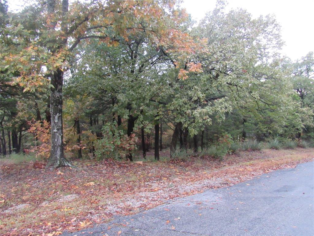Tbd 881-4 Tanglewood Trail Property Photo 5