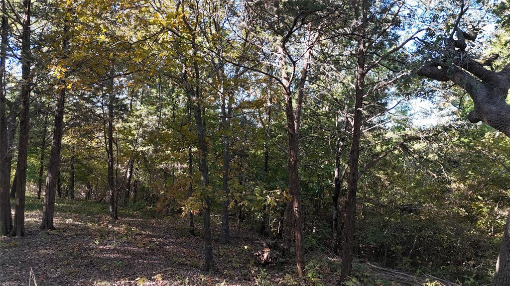 Tbd 881-4 Tanglewood Trail Property Photo 7