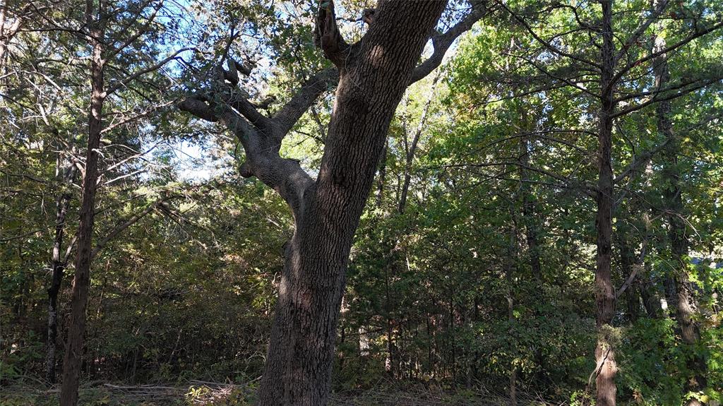 Tbd 881-4 Tanglewood Trail Property Photo 10