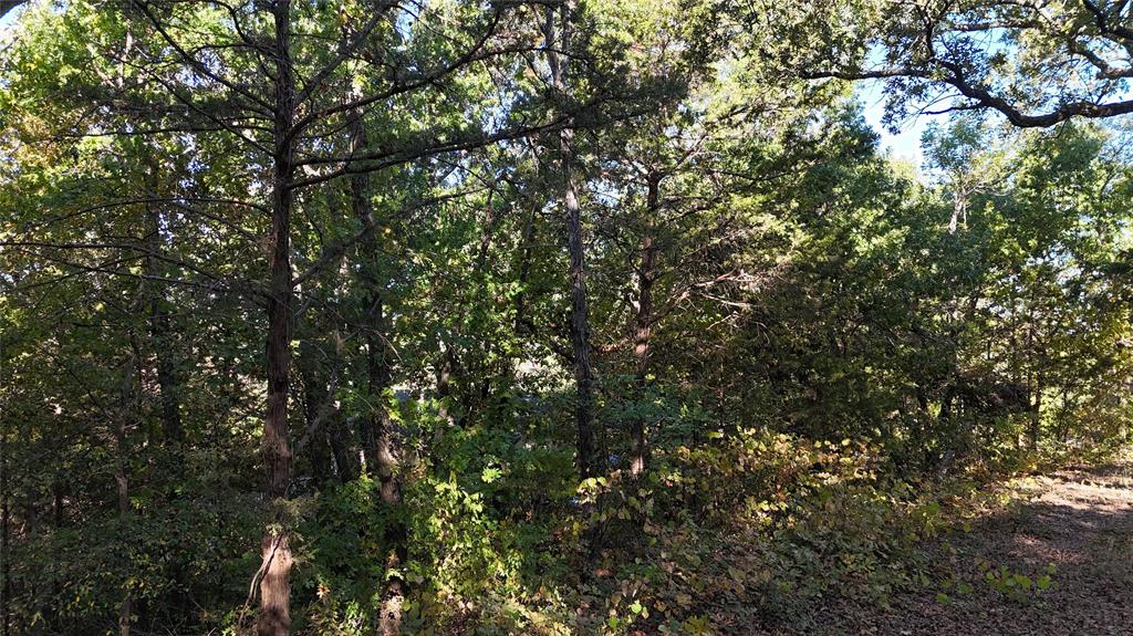 Tbd 881-4 Tanglewood Trail Property Photo 11
