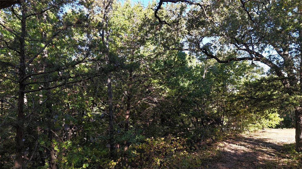 Tbd 881-4 Tanglewood Trail Property Photo 12