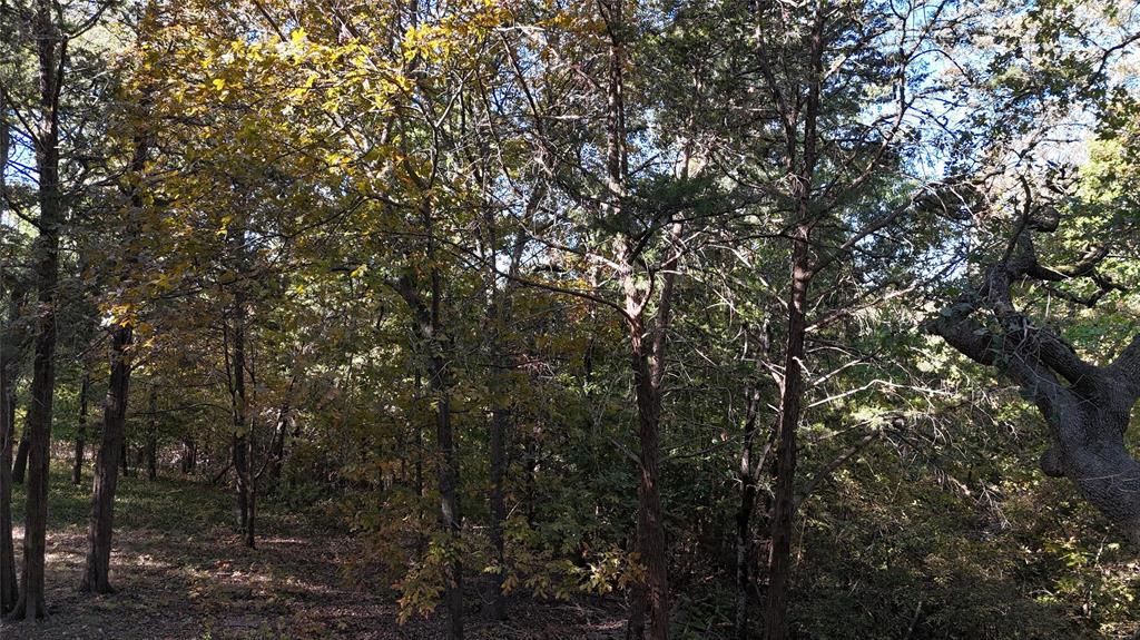 Tbd 881-4 Tanglewood Trail Property Photo 14