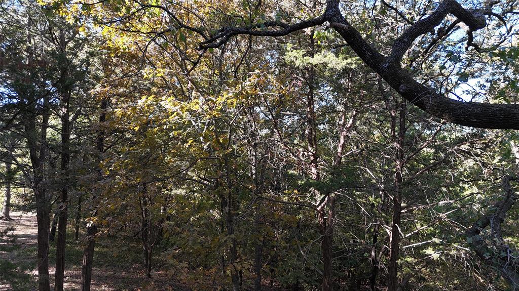 Tbd 881-4 Tanglewood Trail Property Photo 33