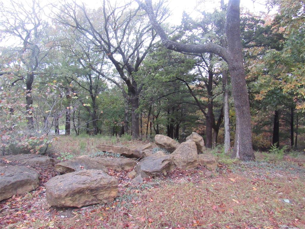 Tbd 881-4 Tanglewood Trail Property Photo 35